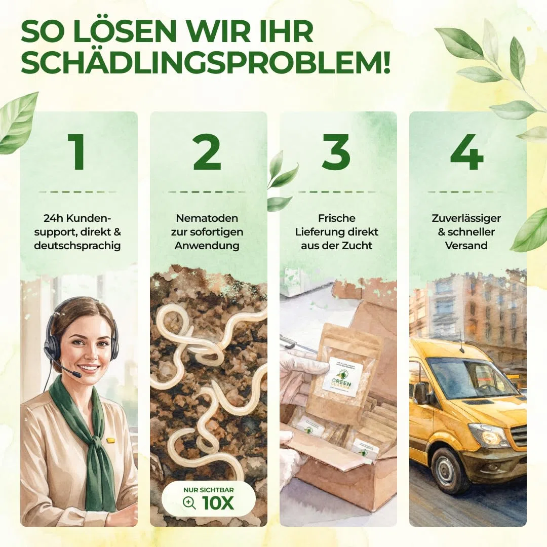 GREEN GUARDIA Super SC-Nematoden gegen Maulwurfsgrillen, Wiesenschnaken und Erdraupen – 25 Mio. (50m²) - Biologisches Mittel zur effektiven Maulwurfsgrillen Bekämpfung, ohne Chemie –