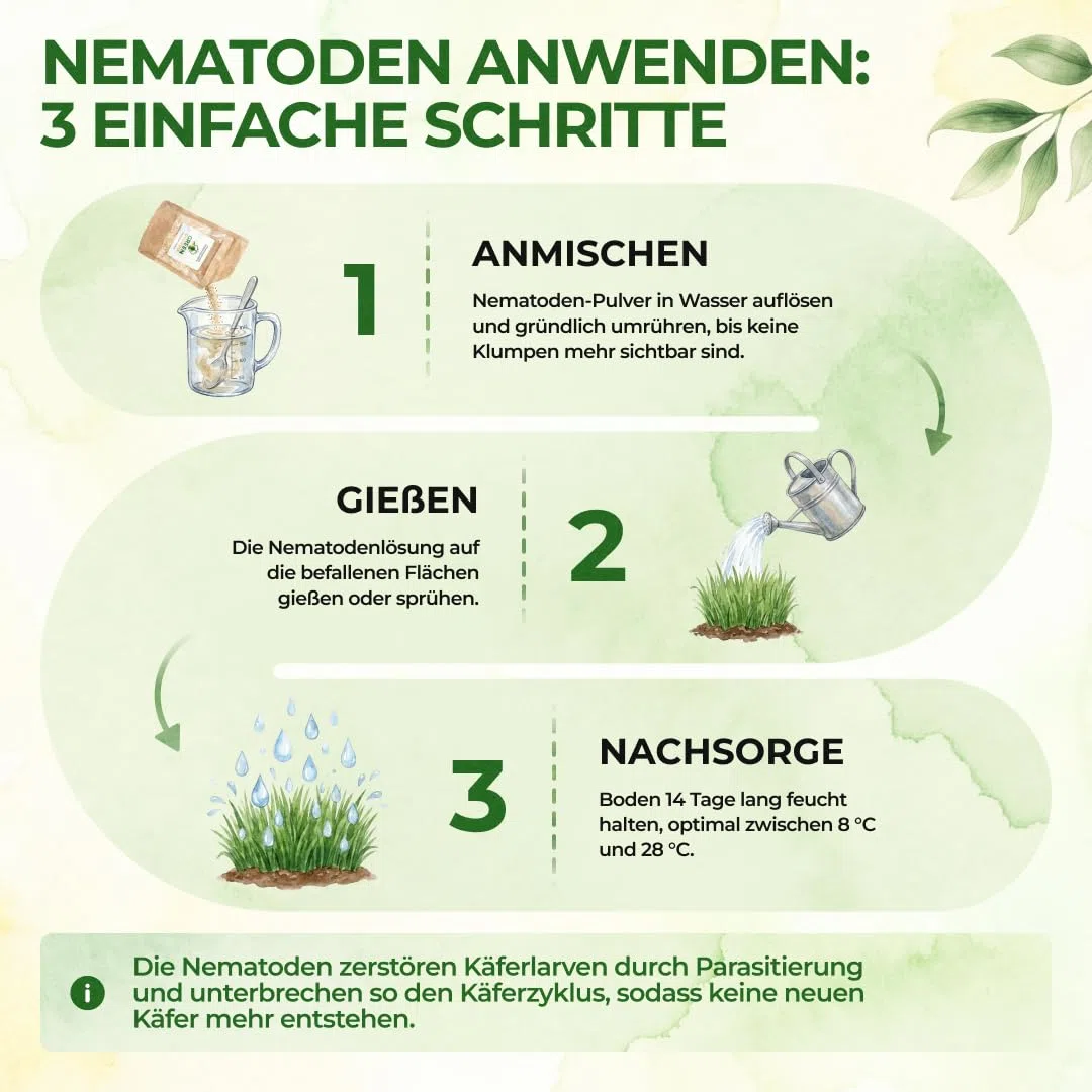 GREEN GUARDIA Super SC-Nematoden gegen Maulwurfsgrillen, Wiesenschnaken und Erdraupen – 25 Mio. (50m²) - Biologisches Mittel zur effektiven Maulwurfsgrillen Bekämpfung, ohne Chemie –